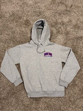 Custom Embroidered "Hawk Tuah" Grey Hoodie Sweatshirt  (Size Small)
